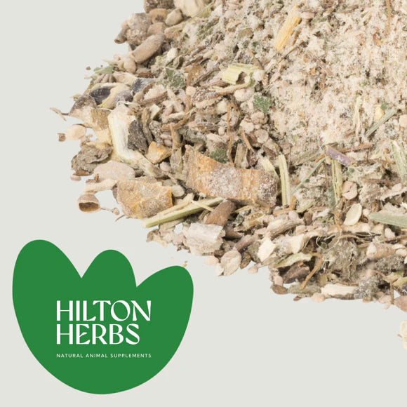 Hilton Herbs Gastri X 1kg
