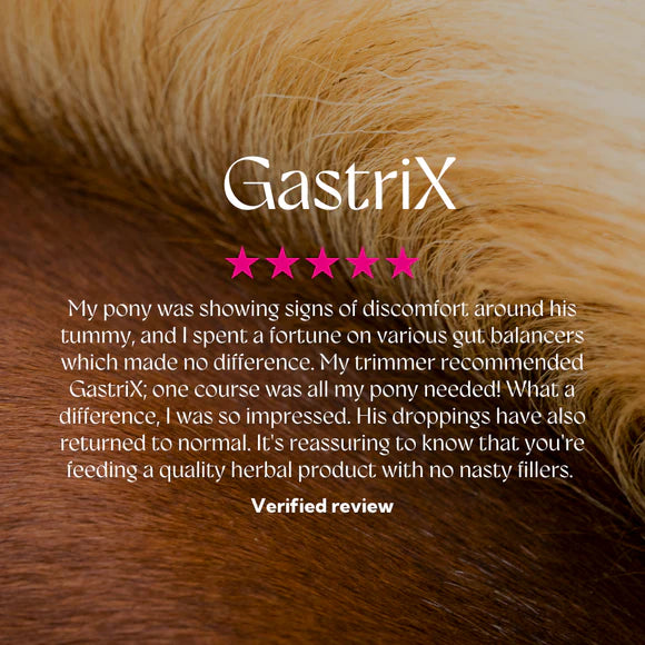 Hilton Herbs Gastri X 1kg