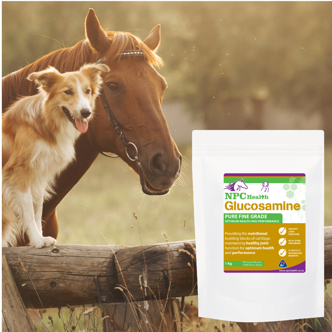 NPC Health Glucosamine for Horses and Dogs