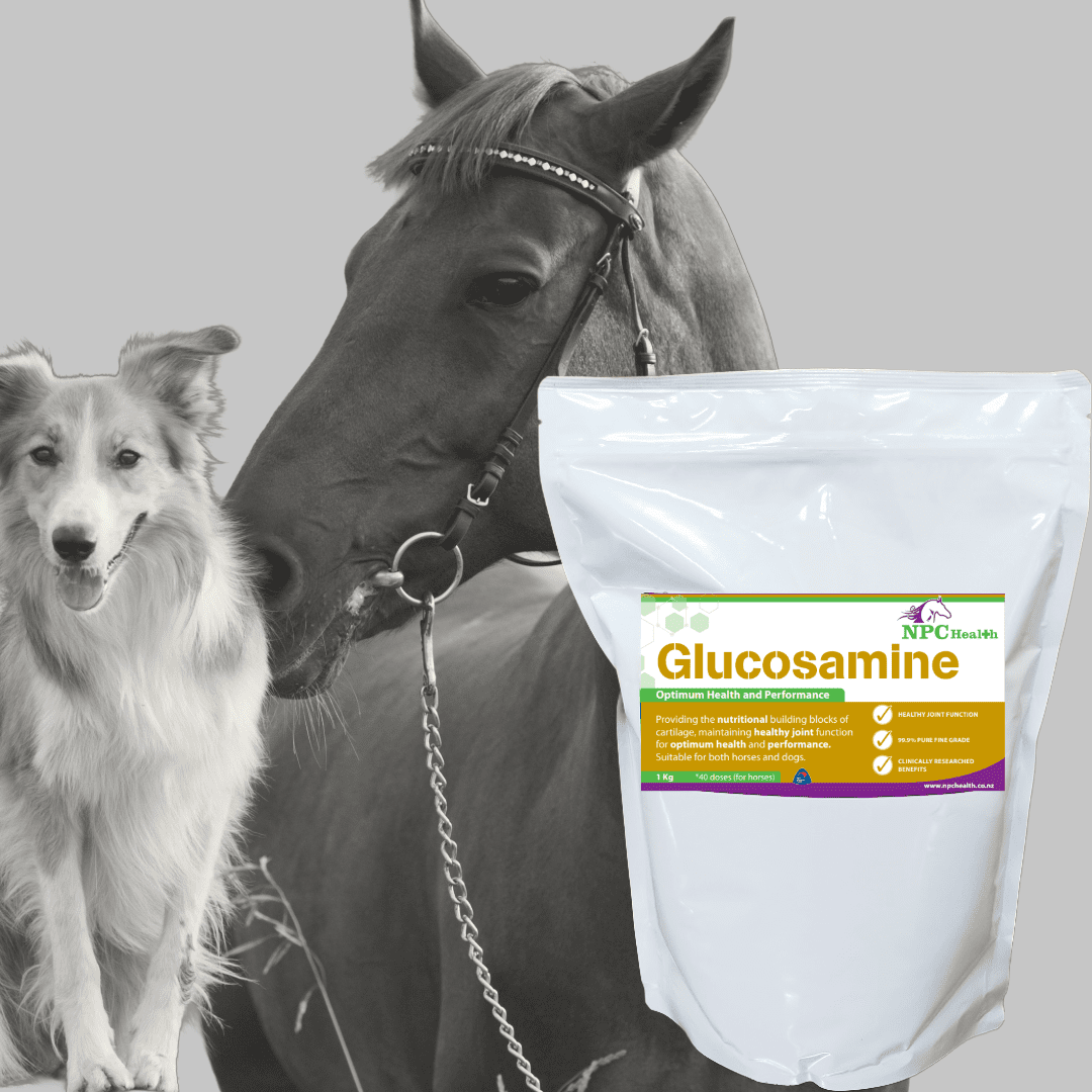 NPC Health Glucosamine for Horses and Dogs | Ultra-pure