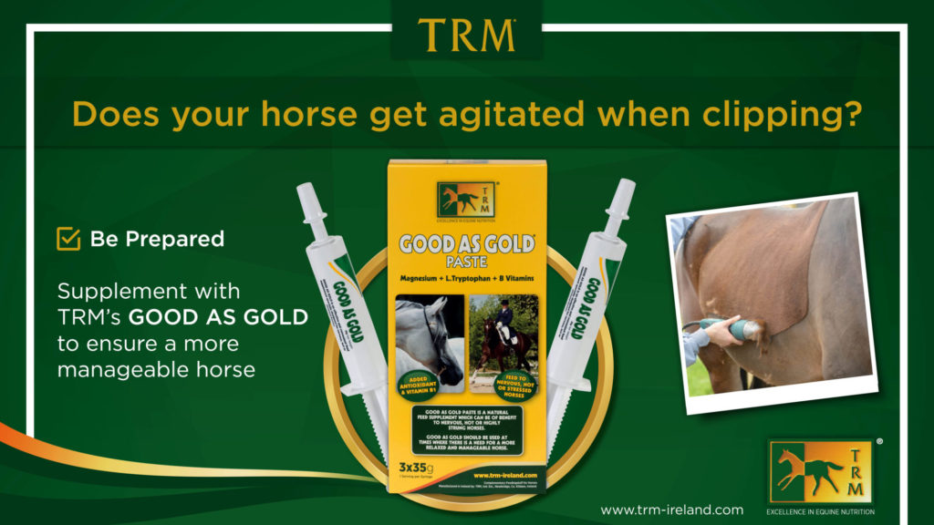 AHD TRM Good as Gold Paste