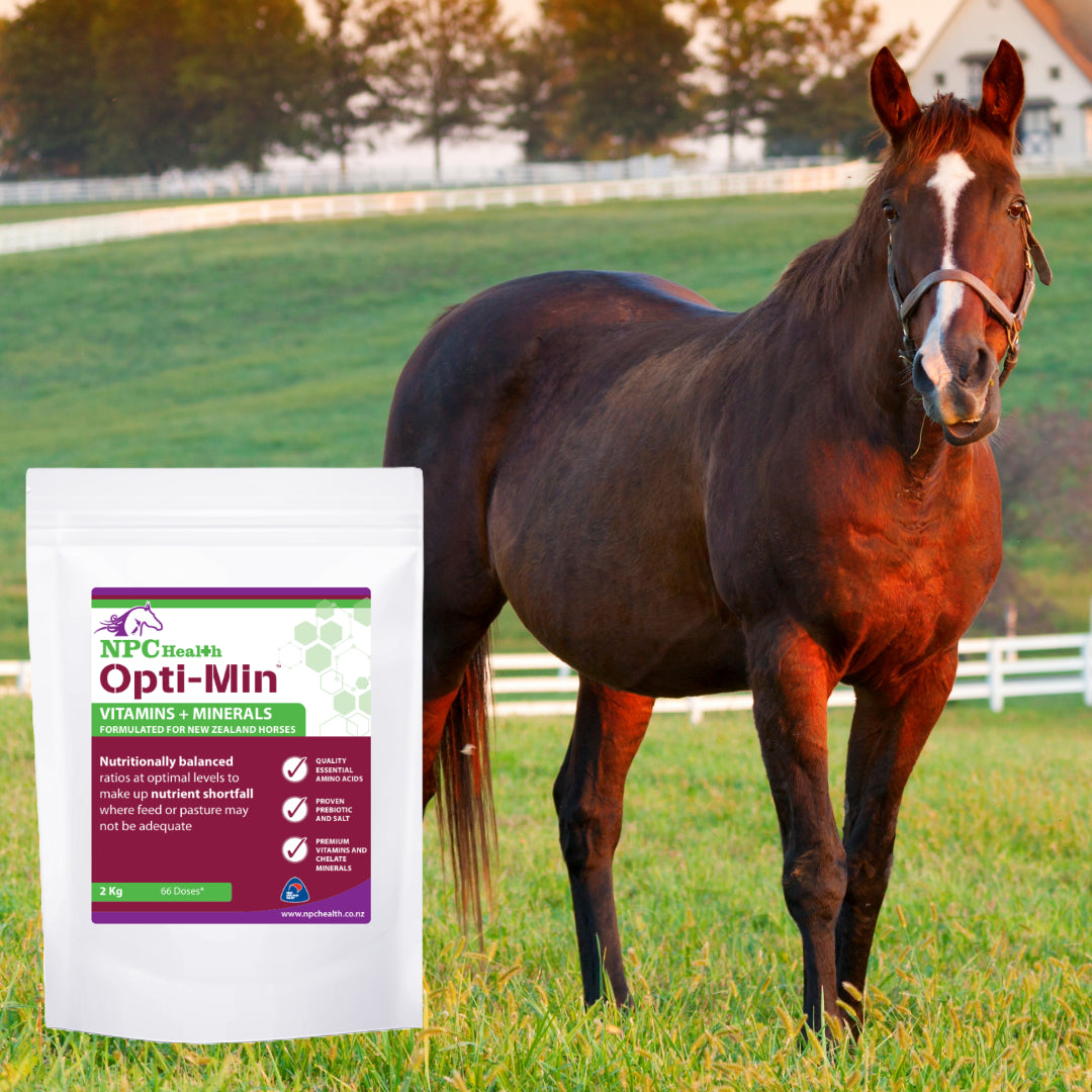 NPC Health Opti-Min Vitamins &amp; Minerals