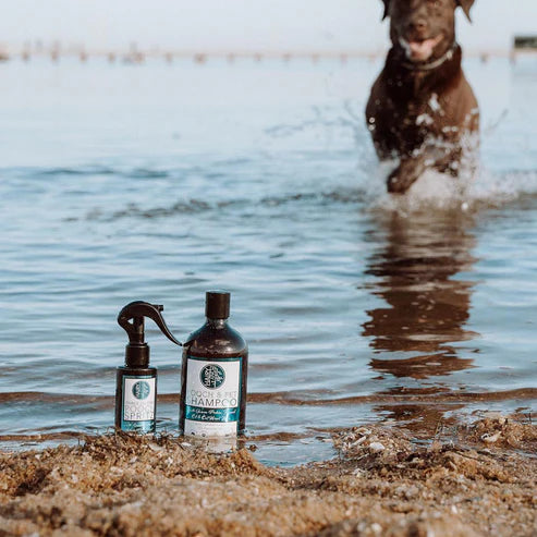 Hairy Pony Pooch and Pet Dog Shampoo