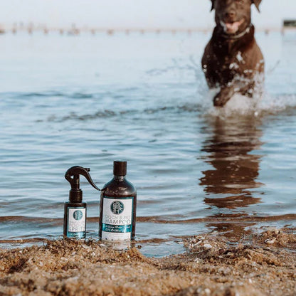 Hairy Pony Pooch and Pet Dog Shampoo
