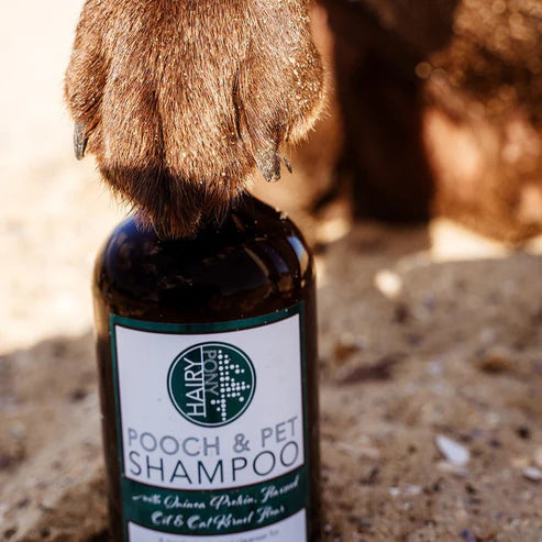 Hairy Pony Pooch and Pet Dog Shampoo