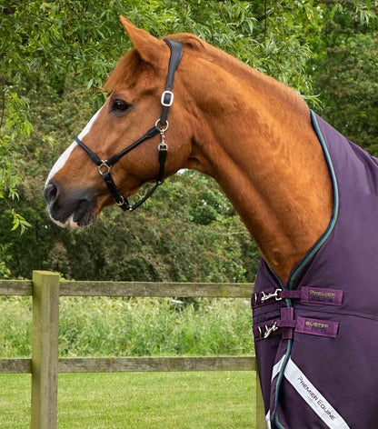 Premier Equine Buster Hardy Half Neck Turnout Rug