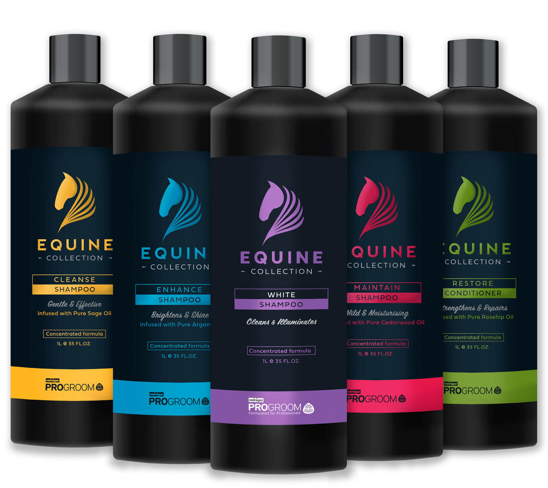 Heiniger Progroom Equine Cleanse Shampoo