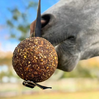 Horse Health StayBall