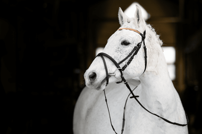 Horze Pony Bridle