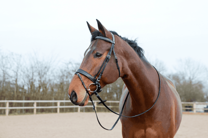 Horze Venice Bridle