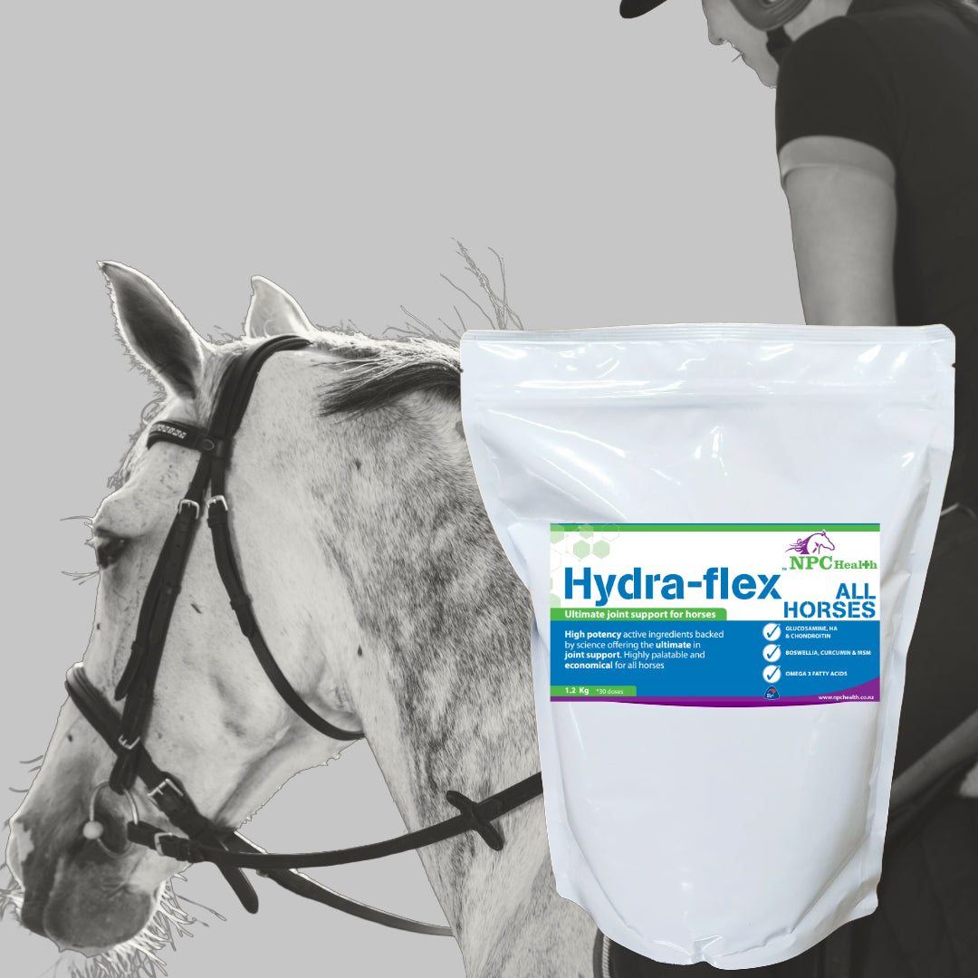 NPC Health Hydra-Flex ALL HORSES