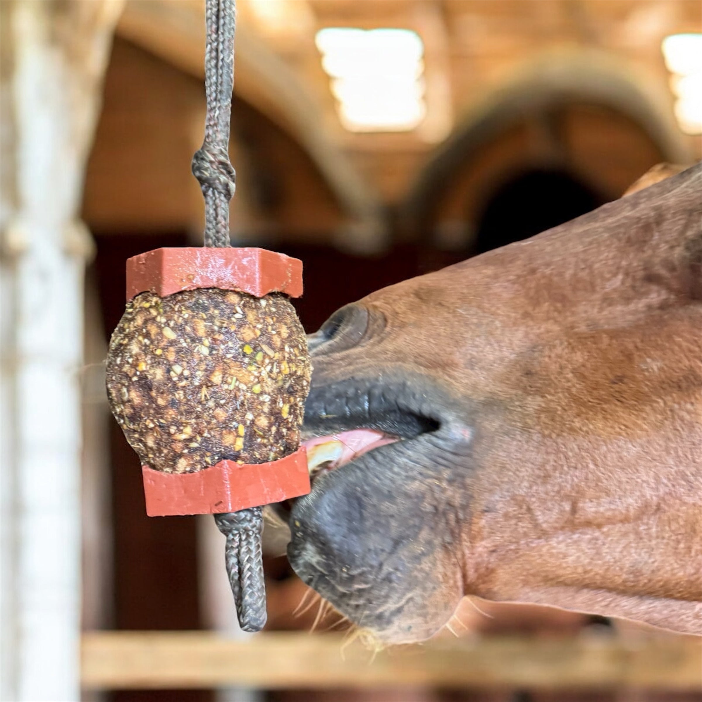 Horse Health StayBall Saver