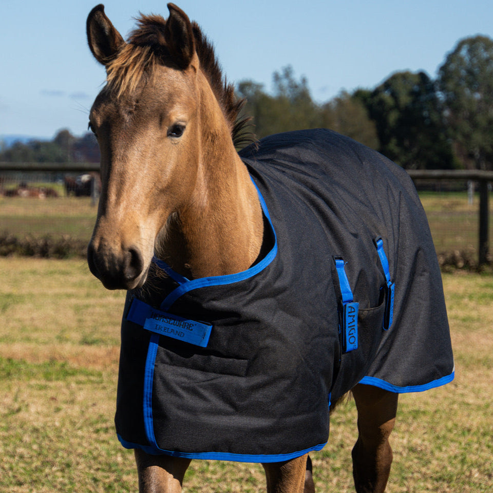 Amigo Ripstop 900D Foal Turnout Rug