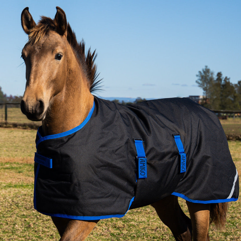 Amigo Ripstop 900D Foal Turnout Rug