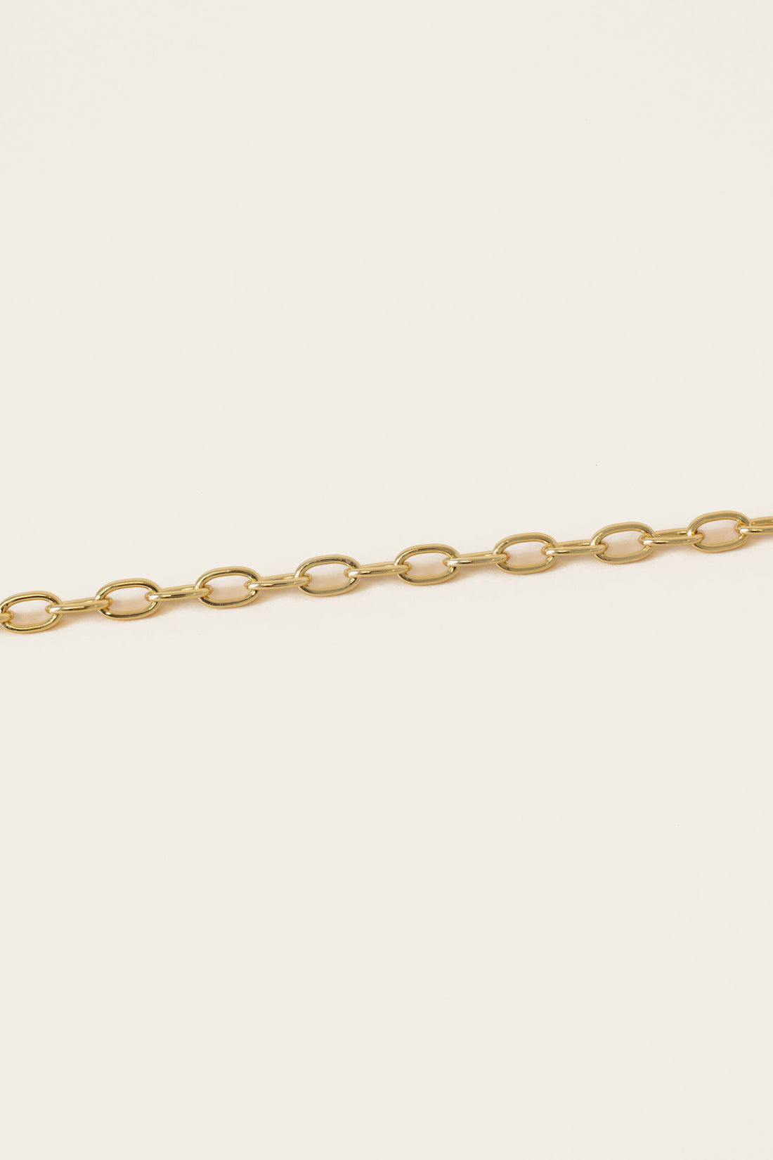 Whistle &amp; Pop Heritage Round Link Chain Necklace