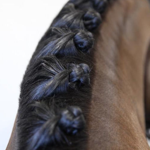 Hairy Pony Horse Mane Sectioning Comb