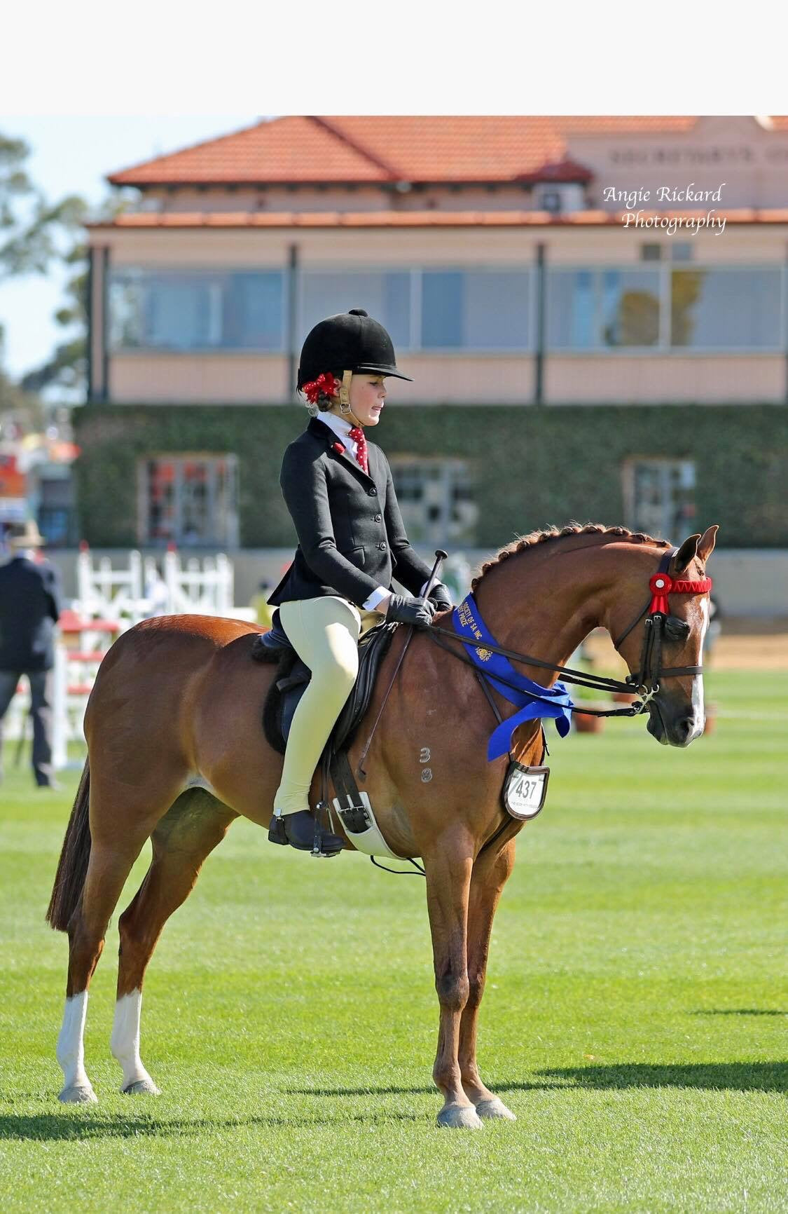 BARE Equestrain Youth Competition Wear Tights