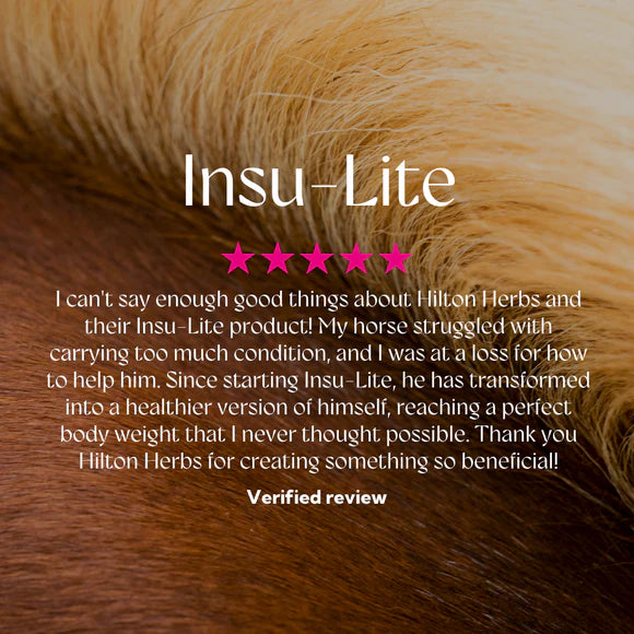 Hilton Herbs Insu-Lite 2kg