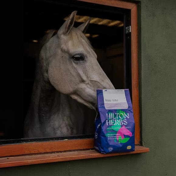 Hilton Herbs Insu-Lite 2kg