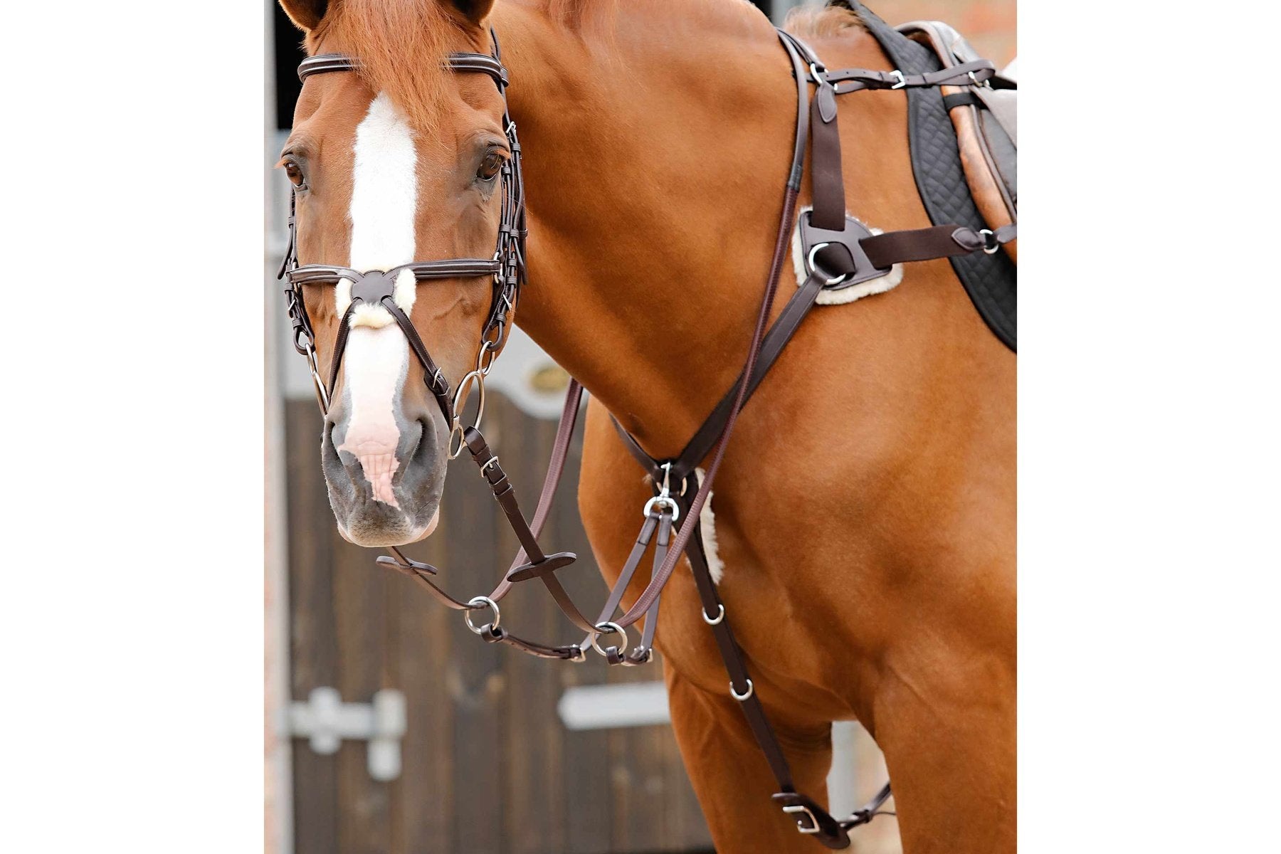 Premier Equine Invorio 5 Point Breastplate