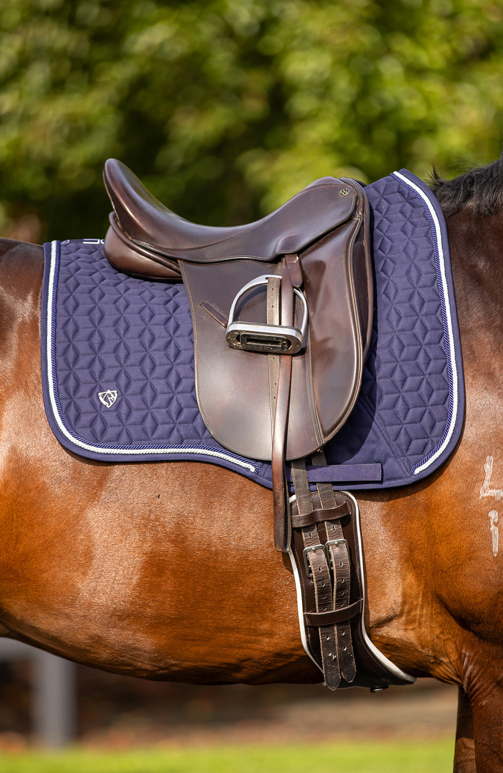 BARE Equestrian Pro-Rider Dimension Dressage Saddle Pad
