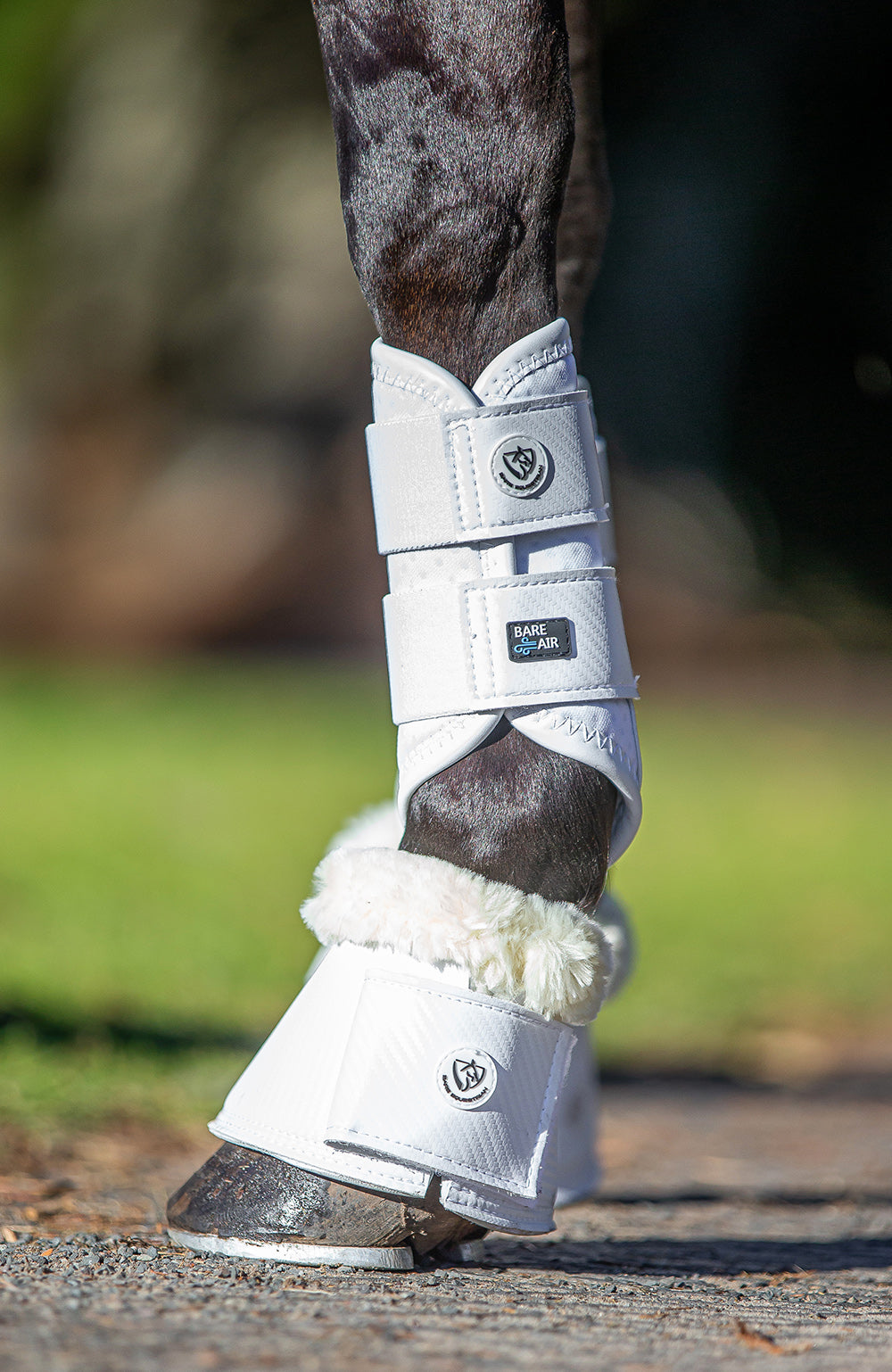 BARE Equestrian Horse Wear Carbon Tech Bell Boots