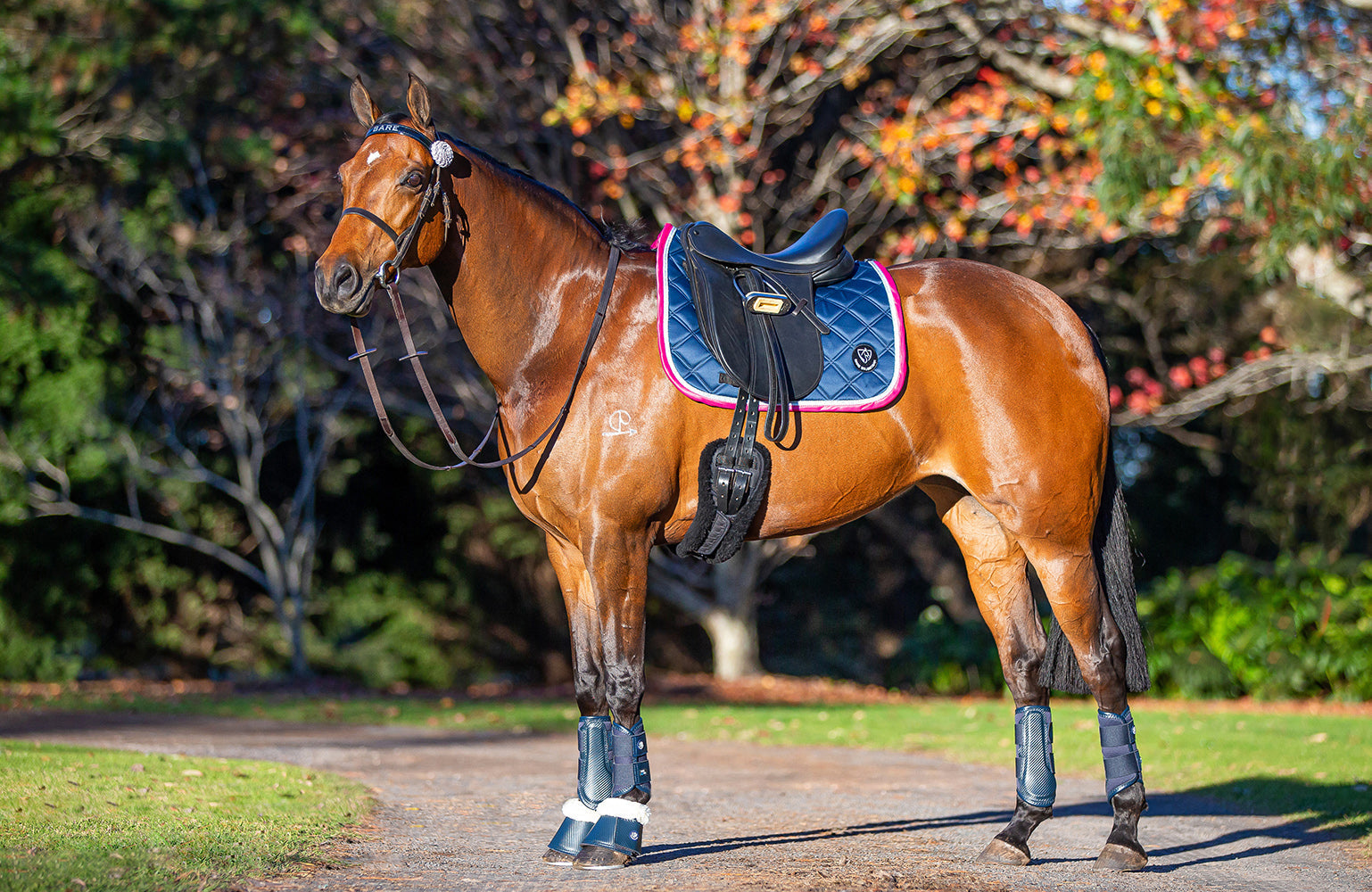 BARE Equestrian Horse Wear Carbon Tech Bell Boots