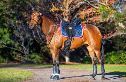 BARE Equestrian Horse Wear AIRFLOW Carbon Brushing Boots