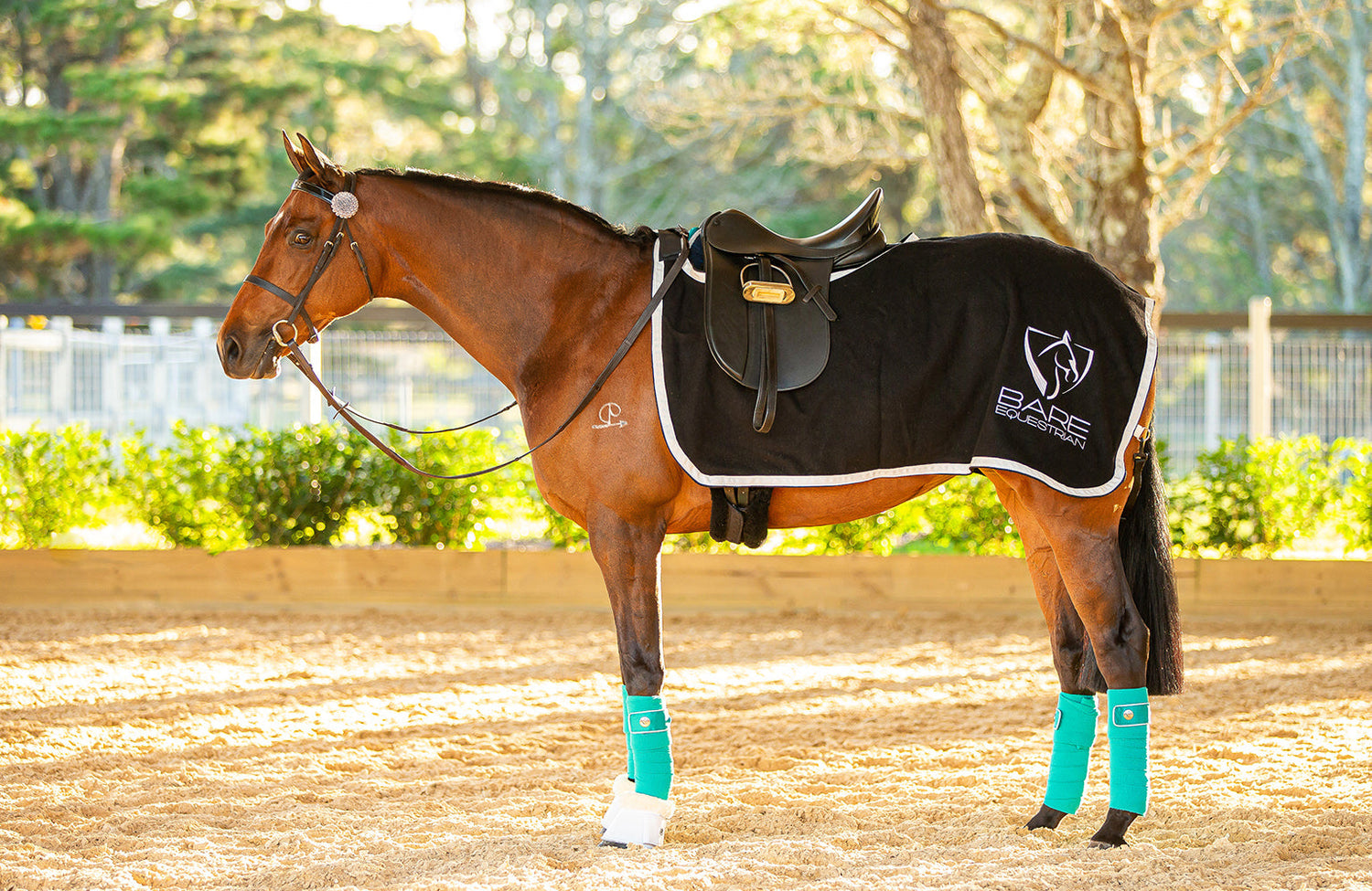 BARE Equestrian Horse Wear Carbon Tech Bell Boots