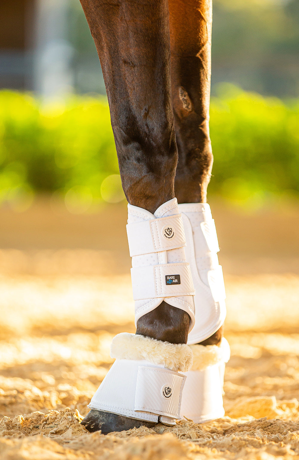 BARE Equestrian Horse Wear AIRFLOW Carbon Brushing Boots