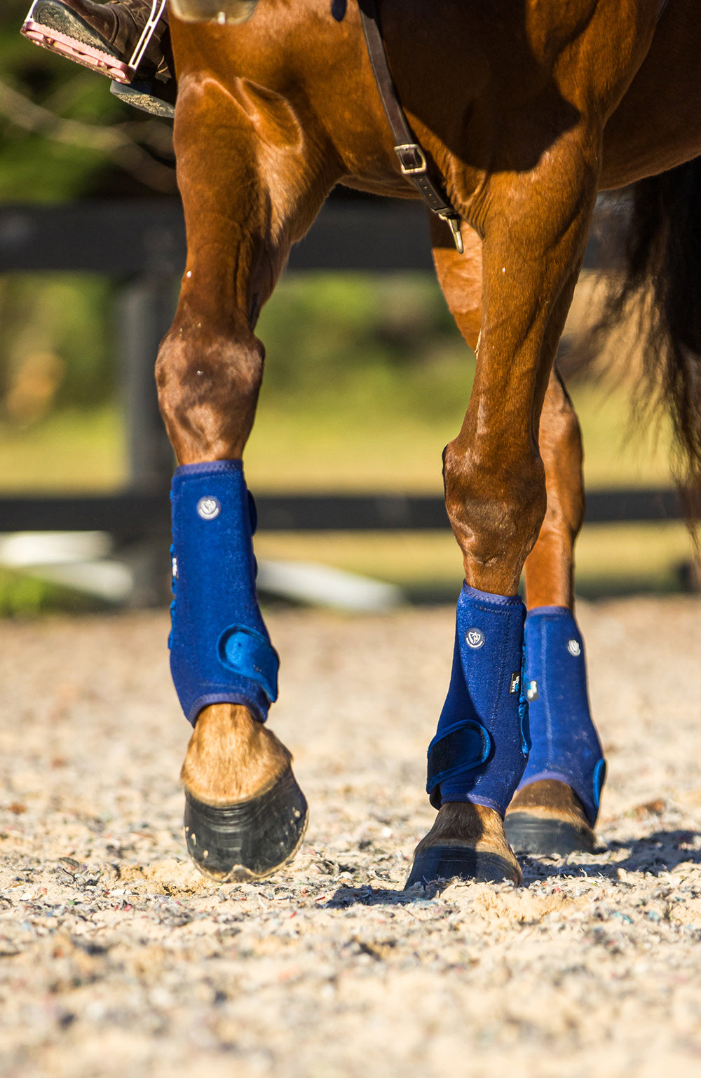 BARE Equestrian Horse Wear AIRFLOW Pro Sport Boots