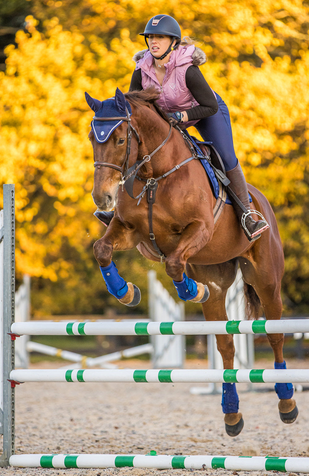 BARE Equestrian Horse Wear &