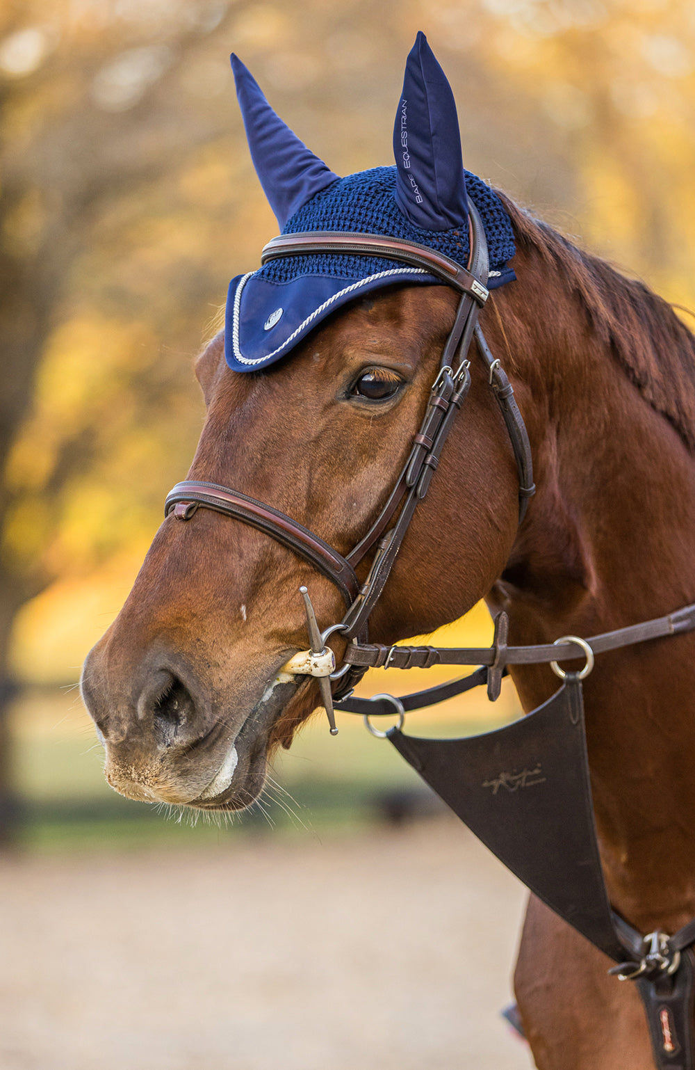 BARE Equestrian Horse Wear &