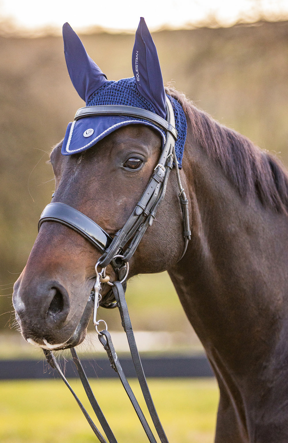 BARE Equestrian Horse Wear &