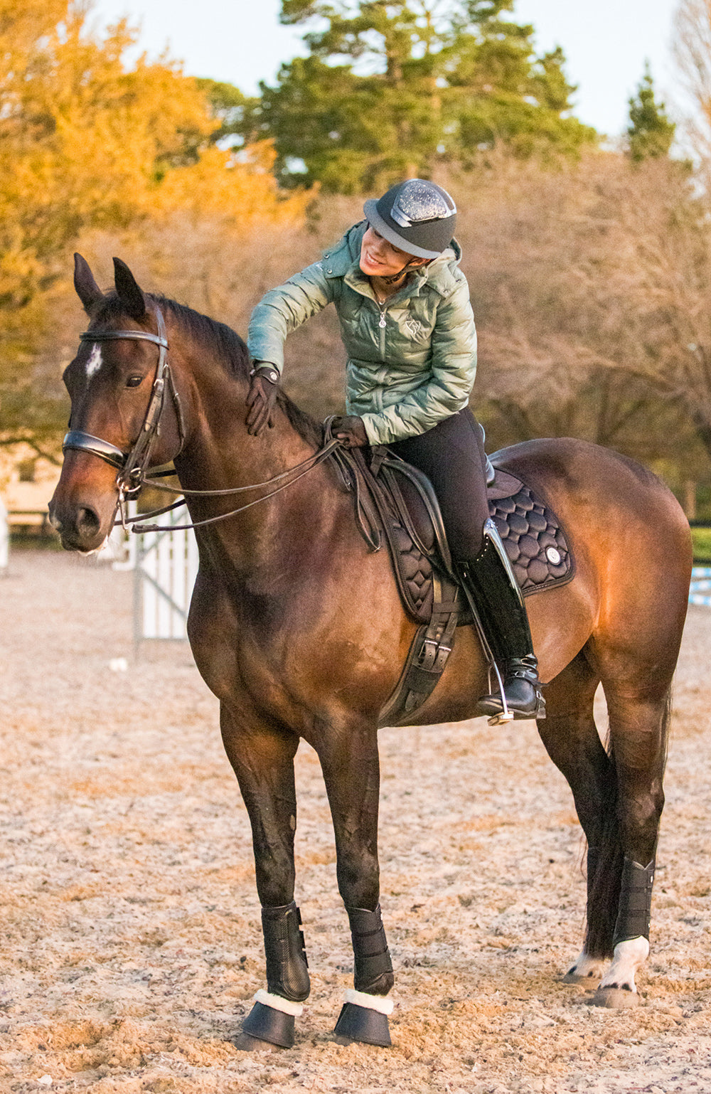 BARE Equestrian Horse Wear AIRFLOW Carbon Brushing Boots