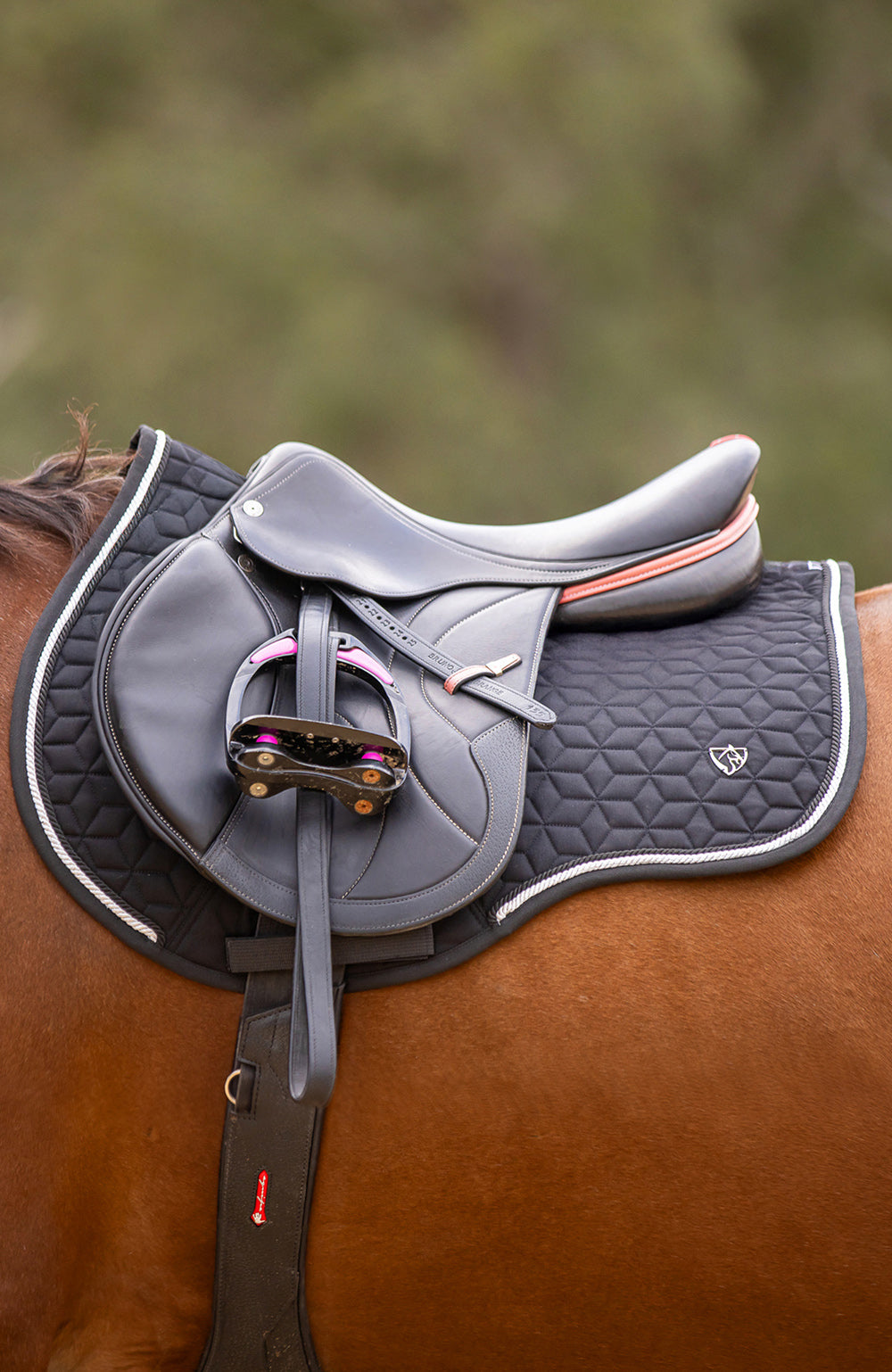 BARE Equestrian Pro-Rider Dimension Jump Saddle Pad