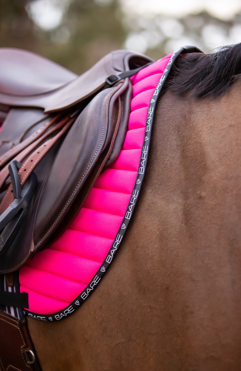 BARE Equestrian Active Jump Saddle Pad