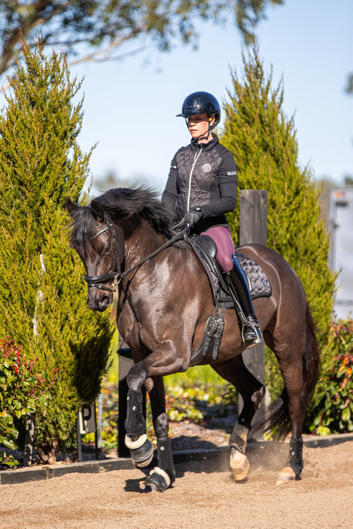 BARE Equestrian Winter Series Mia Jacket