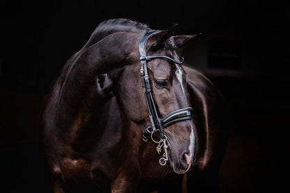 PS of Sweden Double Bridle Passage Lacquered