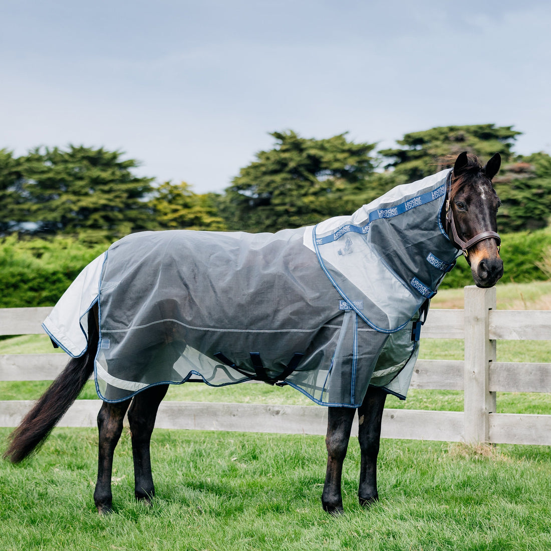 LE Defender Anti-Insect Rug