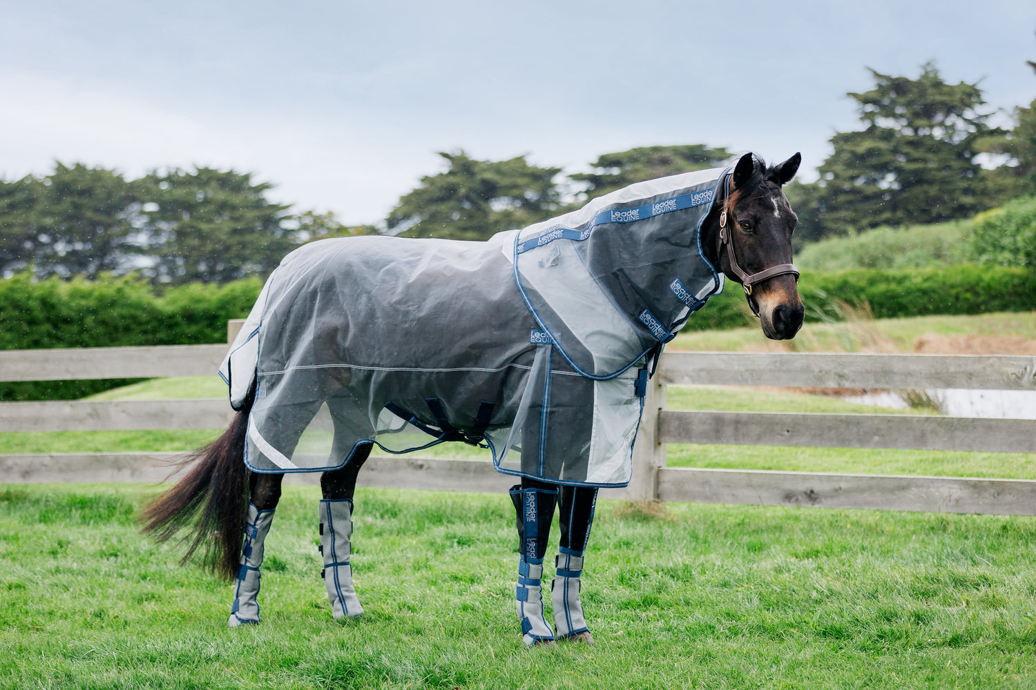 LE Defender Anti-Insect Rug