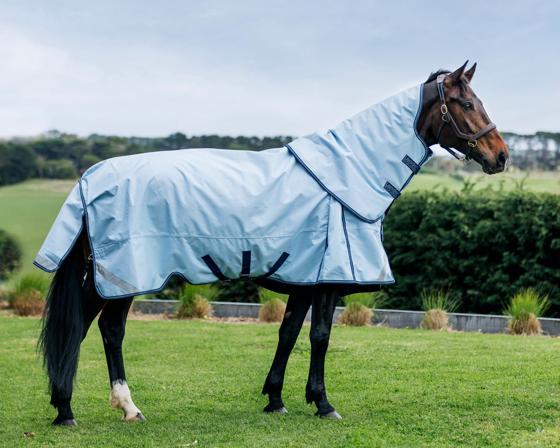 LE Boxter Turnout Detach-A-Neck