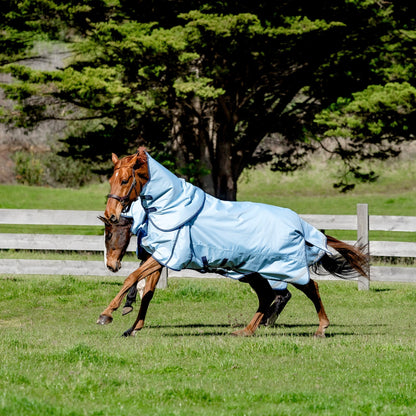 LE Boxter Turnout Detach-A-Neck