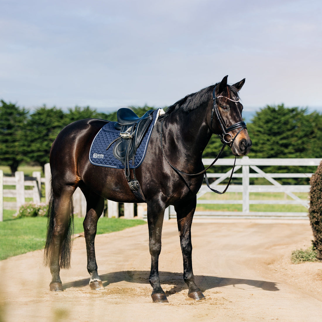 Leader Equine Performance Dressage Saddle Pad with Shims