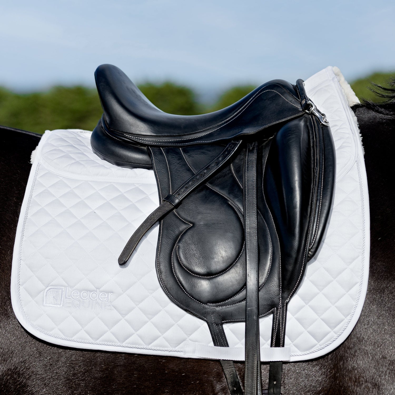 Leader Equine Performance Dressage Saddle Pad with Shims