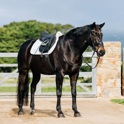 Leader Equine Performance Jump Saddle Pad with Shims