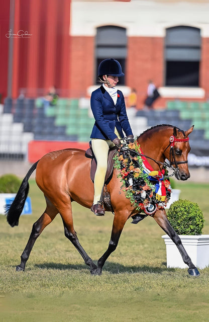 BARE Equestrain Youth Competition Wear Tights