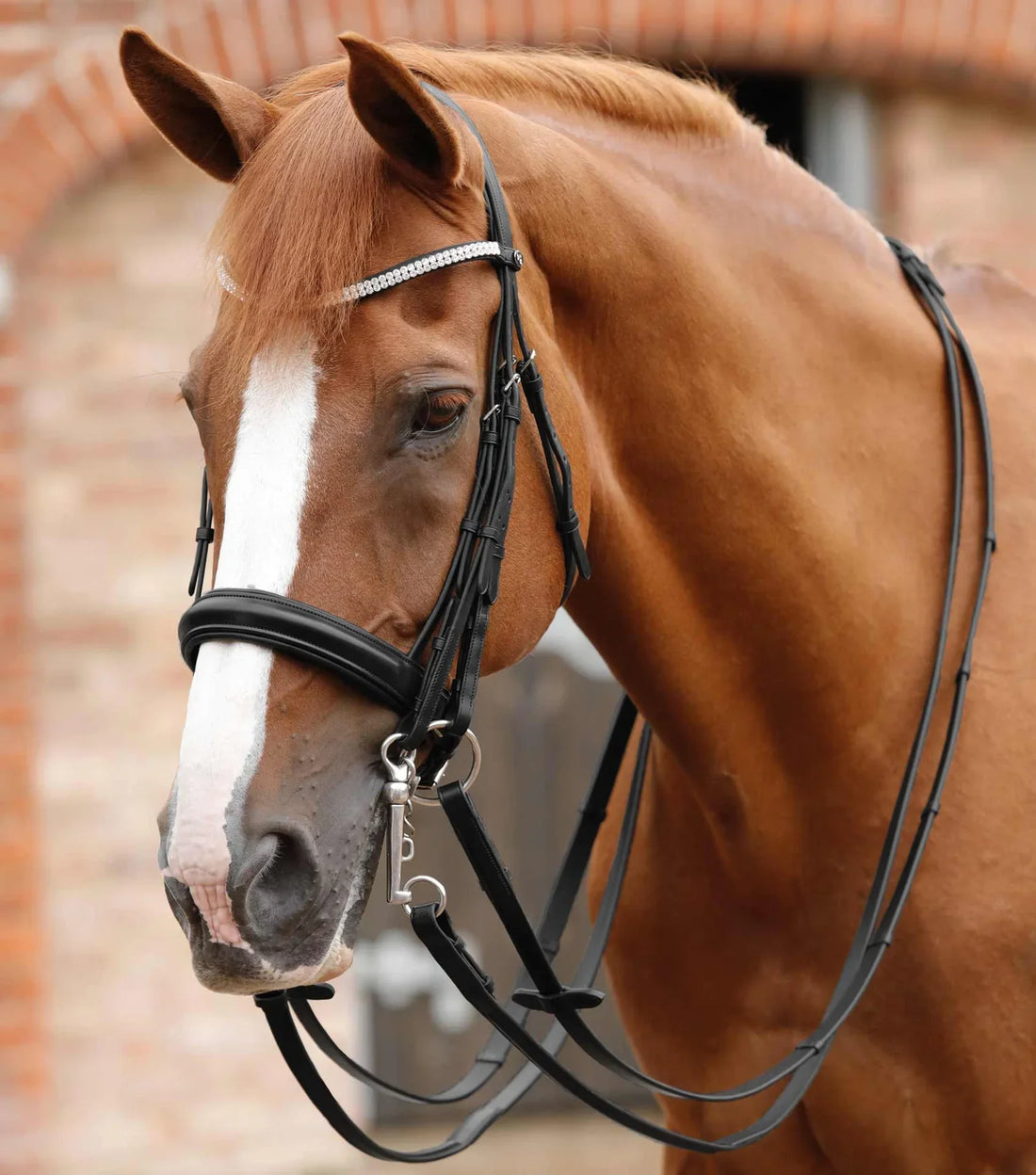 Premier Equine Leonardo Plain Leather Double Bridle Reins