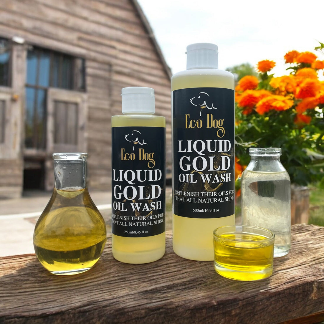 Eco Dog Liquid Gold Oil Wash