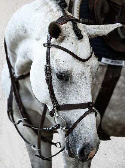 PS of Sweden Bridle London